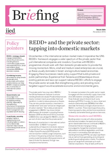 Preview of 17319IIED