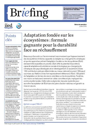 Preview of 17364FIIED