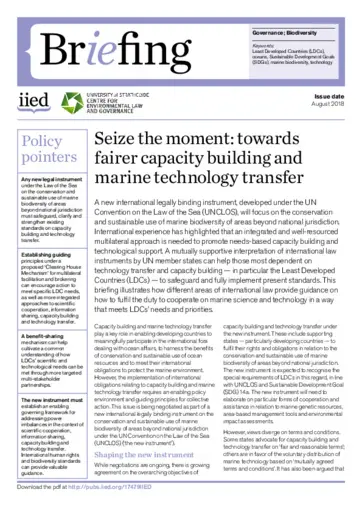 Preview of 17479IIED