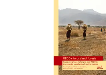 Preview of 17506IIED