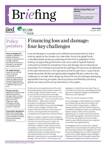 Preview of 21141iied