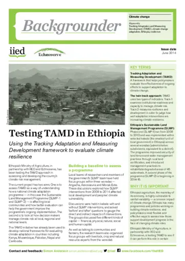 Preview of 17247IIED