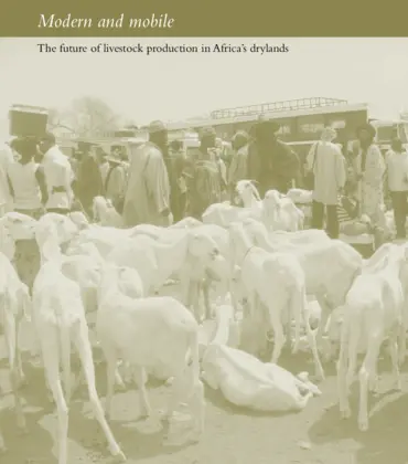 Cover for 12565IIED.pdf