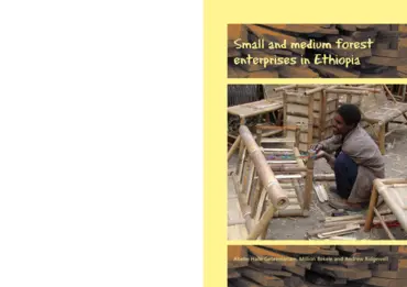 Cover for 13553IIED.pdf