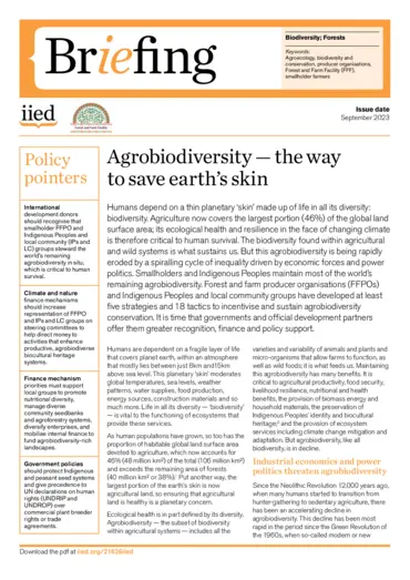 Cover for 21626iied.pdf