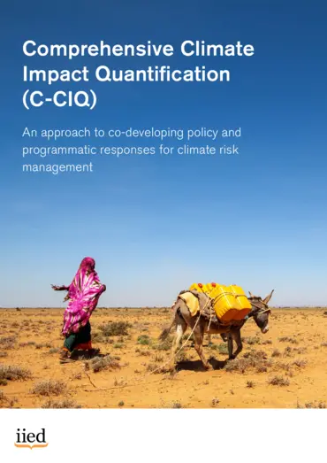Cover for 22491iied.pdf