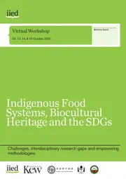 20191iied cover image