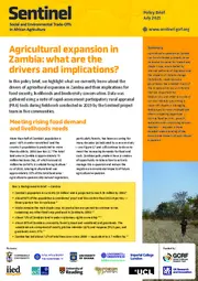 Preview of 20396x
