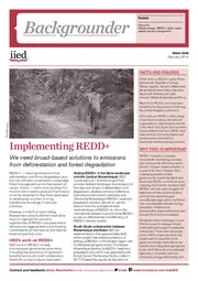 Preview of 17233IIED