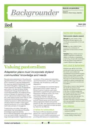 Preview of 17235IIED