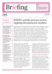 Preview of 17319IIED