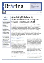 Preview of 17411IIED