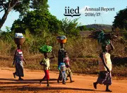 Preview of 17433IIED