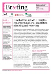 Preview of 17488IIED