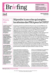 Preview of 21137iied_French