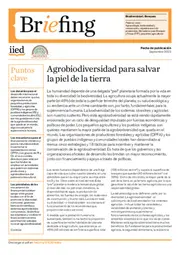 Preview of 21626IIEDES