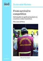 Preview of 16533IIED