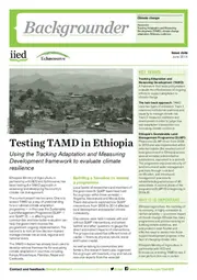 Preview of 17247IIED