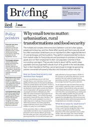 Cover for 10815IIED.pdf