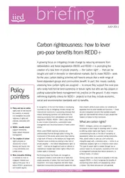 Cover for 17097IIED.pdf