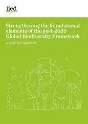 Cover for 20236iied.pdf