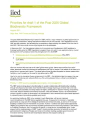 Cover for 20411g.pdf