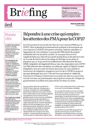 Cover for 21137iied_French.pdf