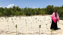 A woman stands to the side of a barren area through which small shoots of a mangrove forest can be seen.