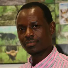 Morris Kagkwo's picture