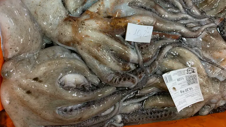 A close up of octopus being sold at a stall in a fish market.
