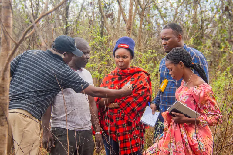 Man and women chatting in a forest