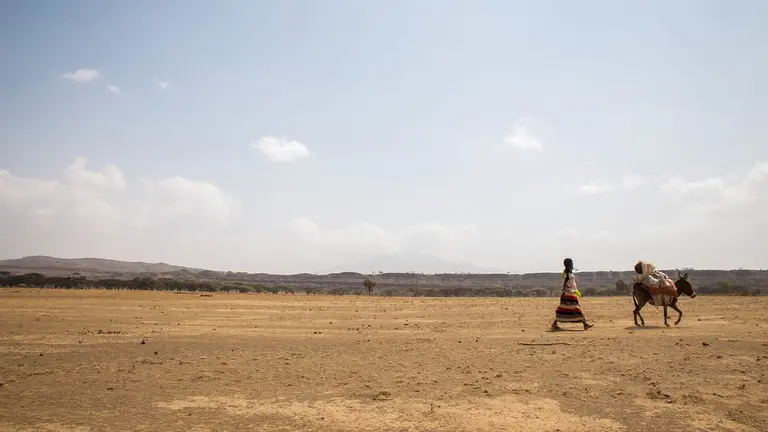 Woman and donkey walk an arid landscape.
