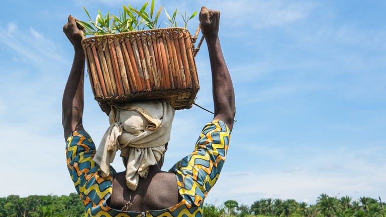 Woman carrying a basket with plants on her head