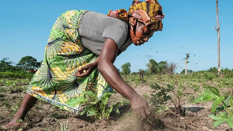 Woman bends over as she picks plants from the ground