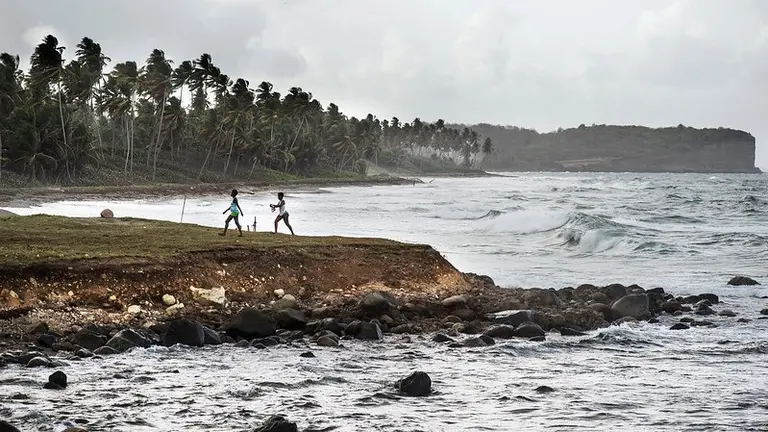 A sea with strong waves hitting the land causing erosion and palm trees bending