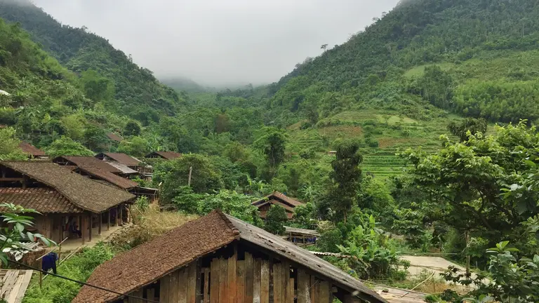 Foggy forest landscape with wooden housing