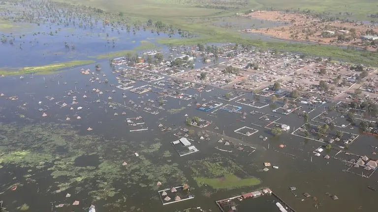 Aerial view of a floded town and vegetation