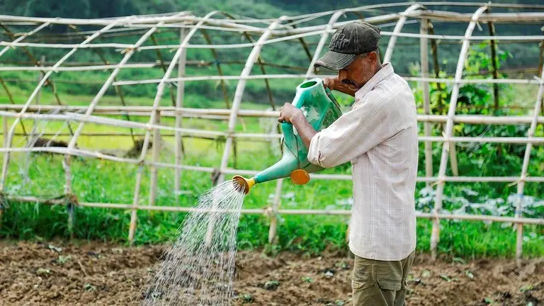 Man holding a watering can pouring water