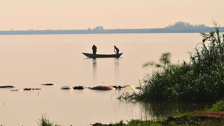 Two people in a boat on a large body of water, next to a group of hippos bathing
