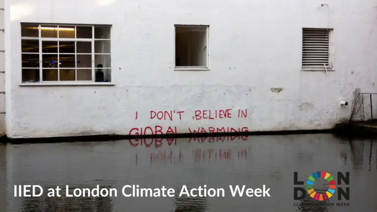 Text saying "I don't believe in global warming" written on a wall beside a canal, with the water overlapping the bottom of the words.
