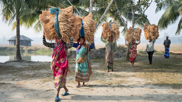 Woman carry bundles of dried vegetation over their heads.