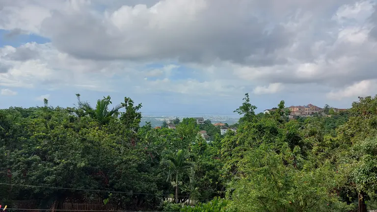 Aerial view of trees with a town and the sea in the backround.