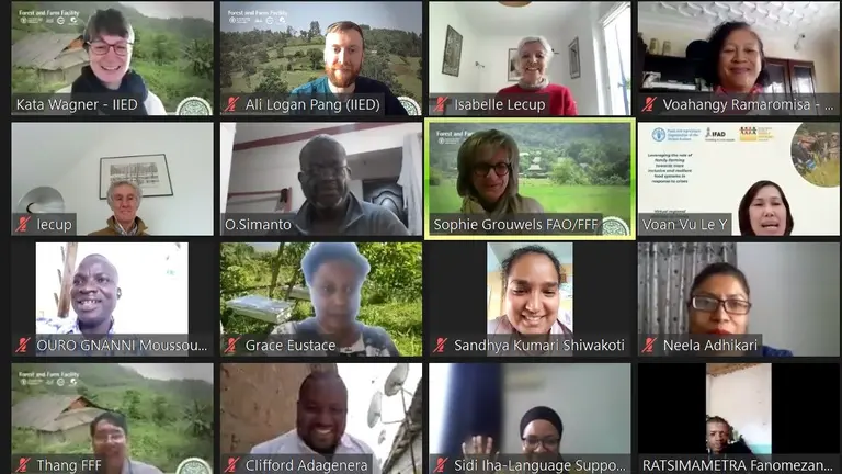 Screenshot of a video call with several head and shoulder images. 