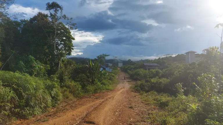 Motorbike riding on a dirt road surrounded by nature.