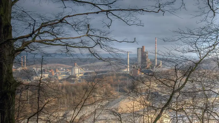 A cement factory in the background covered by tree branches.