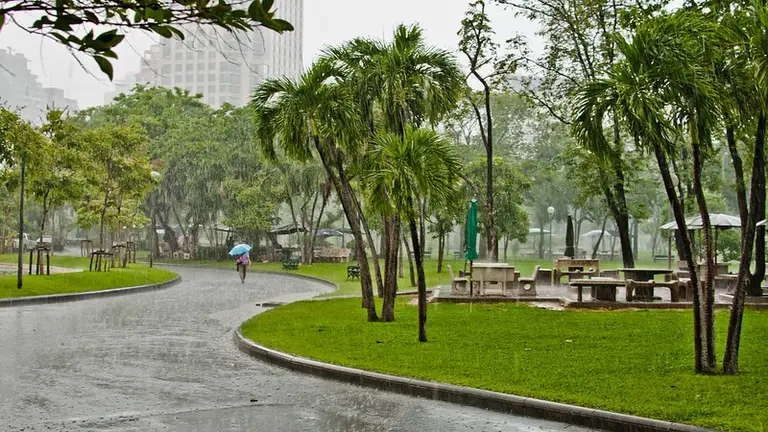 Person walks trough a park under heavy rain.