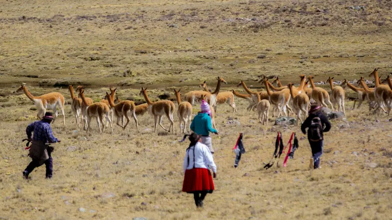 On large open land, with mountains behind, farmers shepherd a herd of animals.