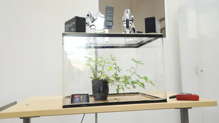 A table with a plant enclosed in a glass case with an electronic device.