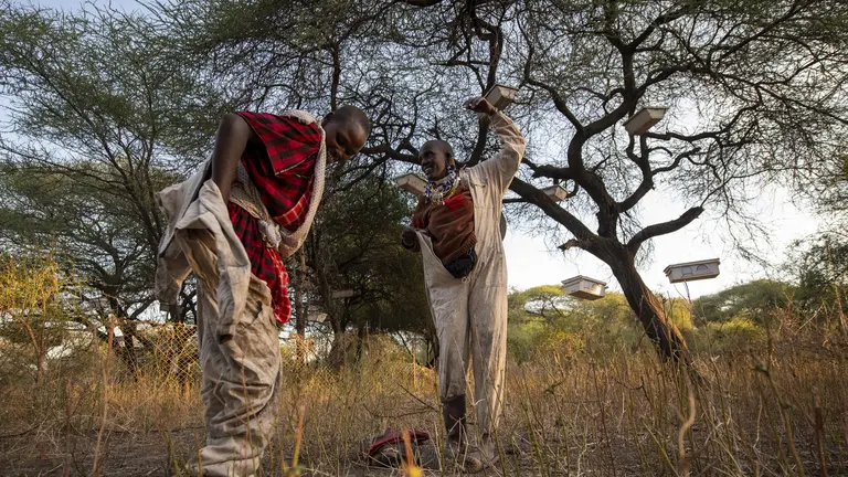 Two people standing putting on beekeeping suits, stand next to a tree.