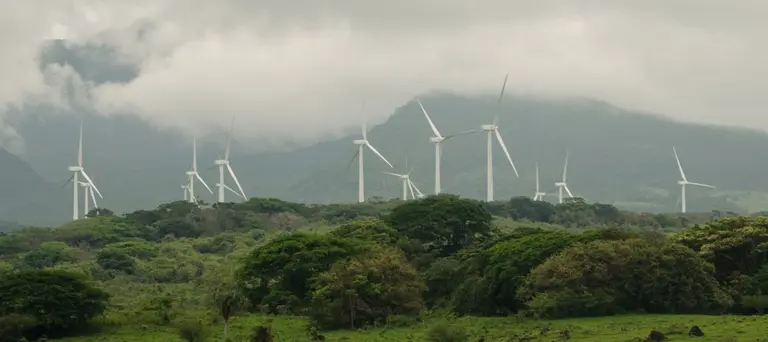 A row of wind turbines on a misty hillside.